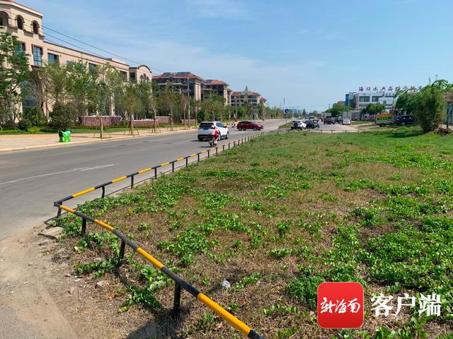 新合埠路最新動(dòng)態(tài)，邁向未來(lái)的城市主干道重塑與升級(jí)