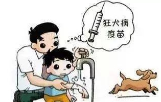 最新狂犬病發(fā)作視頻，理解與應(yīng)對的挑戰(zhàn)