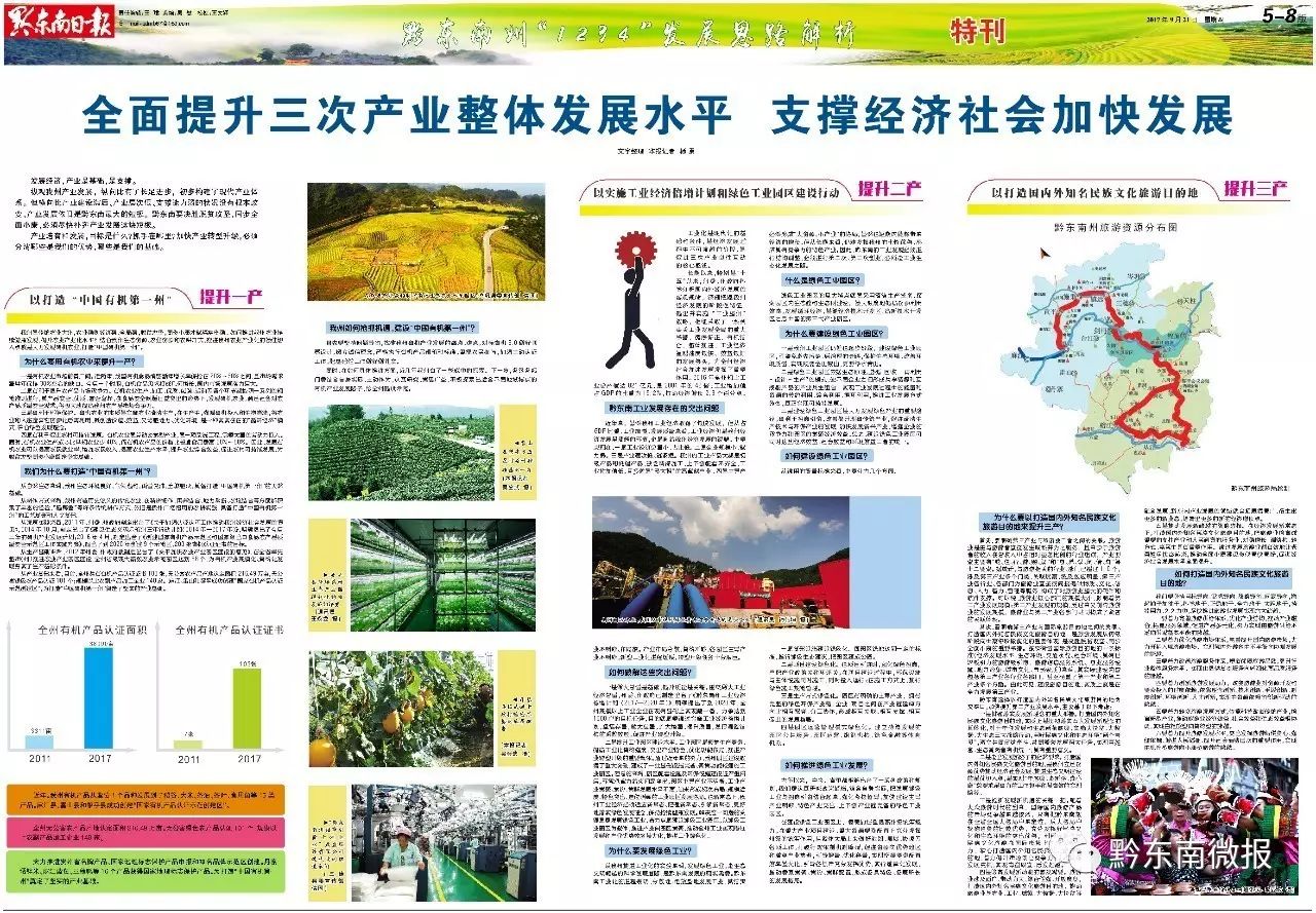 今期香港最新跑狗圖，探索與解讀