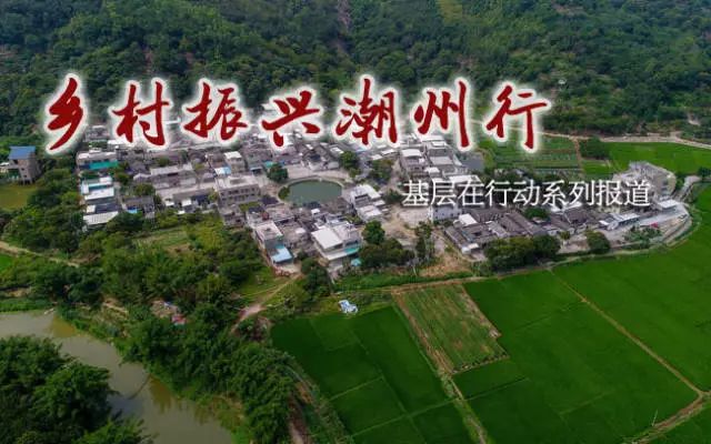 牧馬鎮(zhèn)蓮花村最新規(guī)劃，鄉(xiāng)村振興的藍圖展望