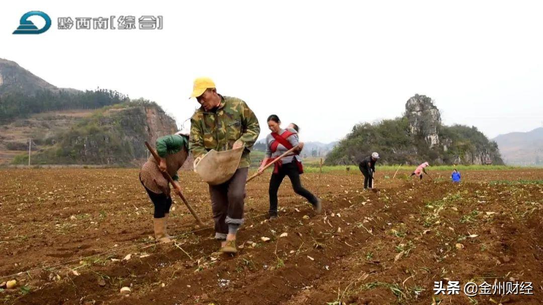 最新興仁下山鎮(zhèn)視頻，揭示一個美麗而充滿活力的鄉(xiāng)村面貌