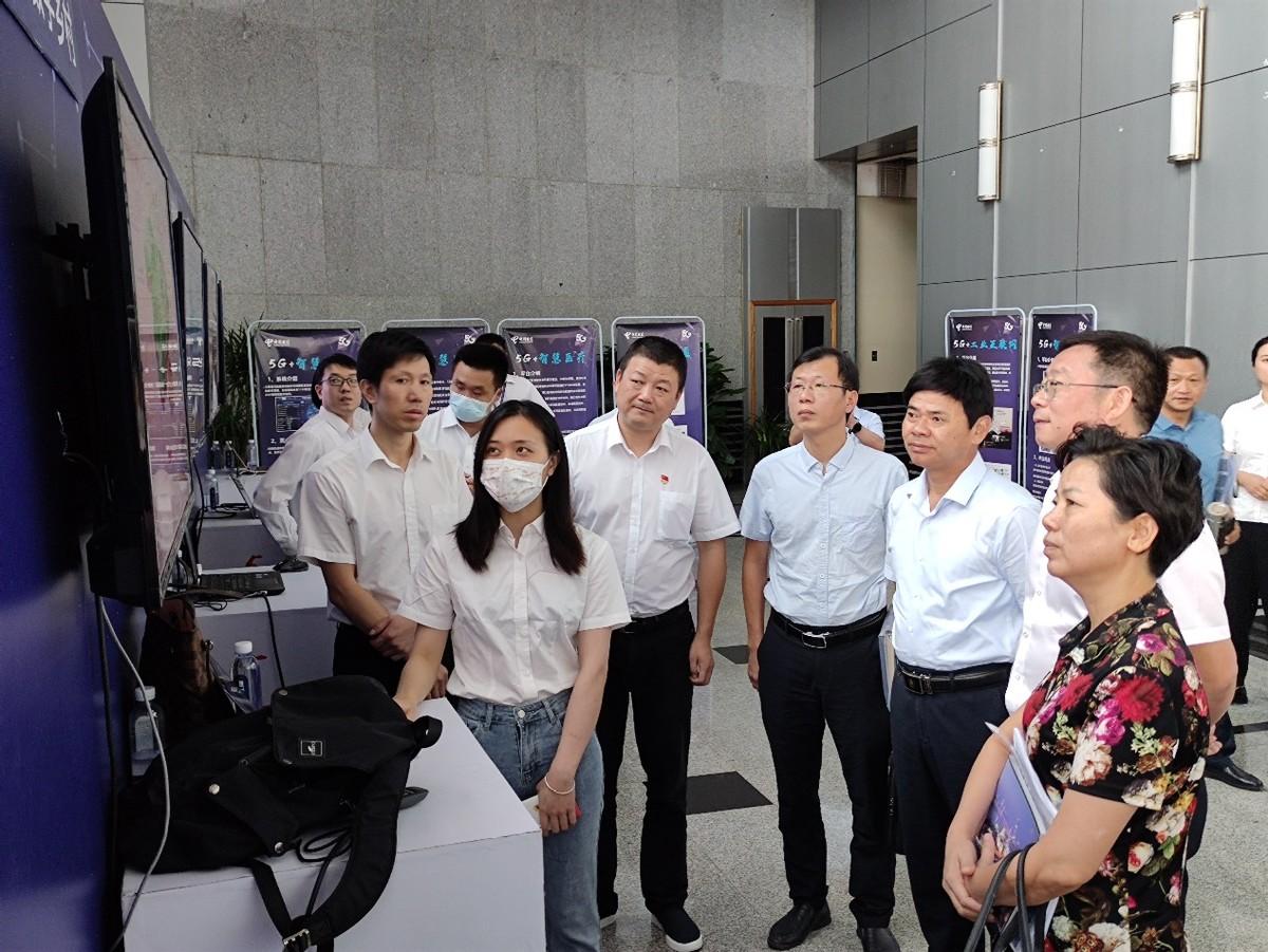 最新鳳凰衛(wèi)視直播源，探索與體驗(yàn)