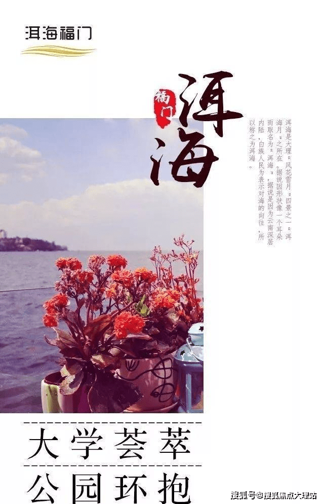 臺(tái)山市最新房價(jià)動(dòng)態(tài)及分析