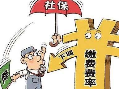 上海最新社?；鶖?shù)
