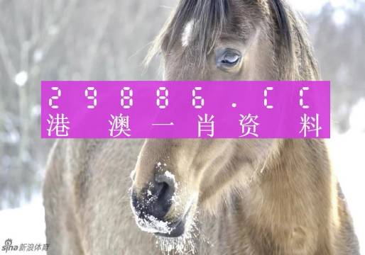 澳門一肖一碼100準(zhǔn)免費(fèi)，揭示背后的真相與風(fēng)險(xiǎn)