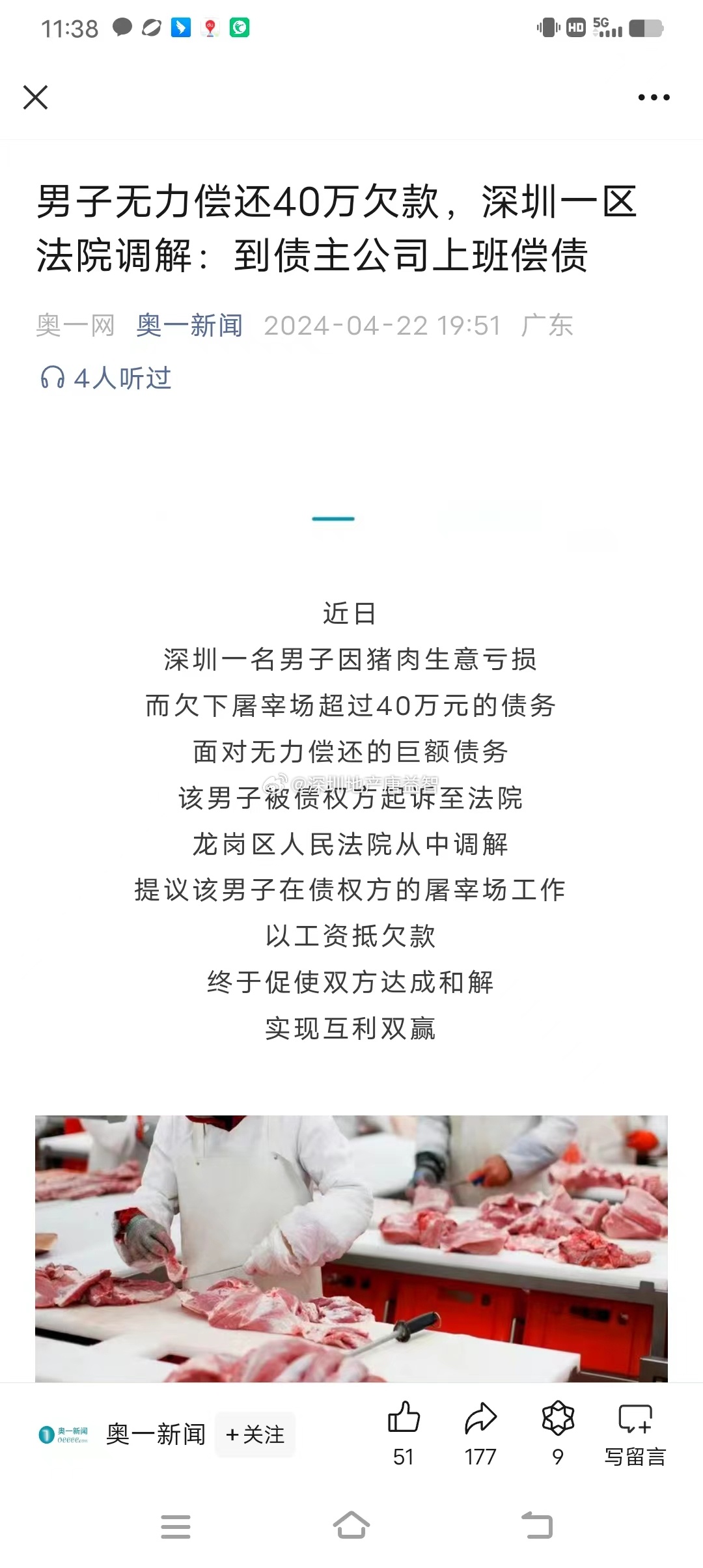 一肖一碼一一肖一子在深圳，瞬時釋義、解釋與落實