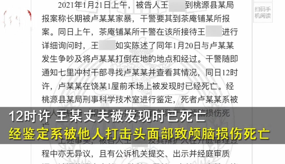 澳門正版精準(zhǔn)免費大全，揭示犯罪與合法之間的界限