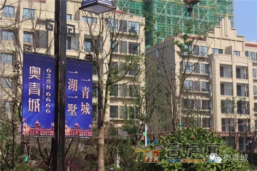 合肥奧青城最新房價(jià)動態(tài)分析