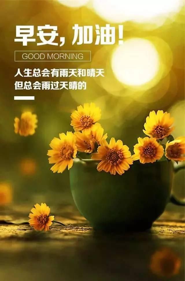 最新早安勵志語錄帶圖，開啟充滿活力的每一天